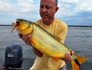 Muž drží velkou rybu dorado s žlutou šupinou na člunu.
