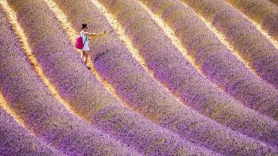 Žena stojí na cestě mezi řadami kvetoucí levandule v Provence.