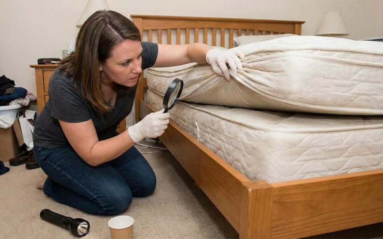 Žena zkoumá matraci lupou hledání bílých brouků v domě.
