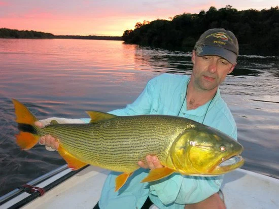 Muž drží velkou rybu dorado v ruce na vodě.