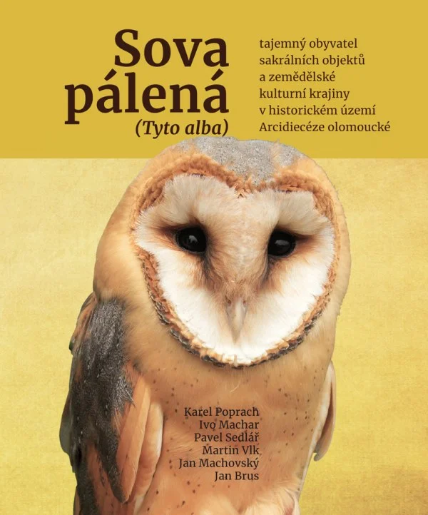 Portrét sovy pálené na obálce knihy o sovách.