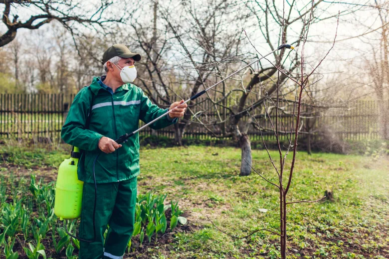 Muž v ochranném obleku postřikuje mladé stromy pesticidy.
