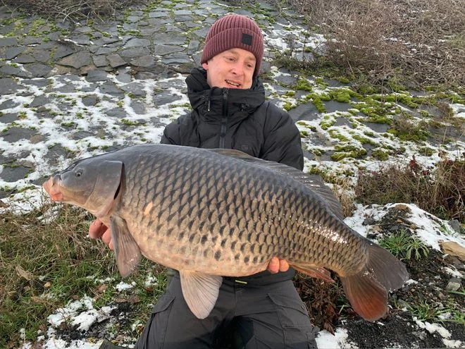 Man holding carp fish