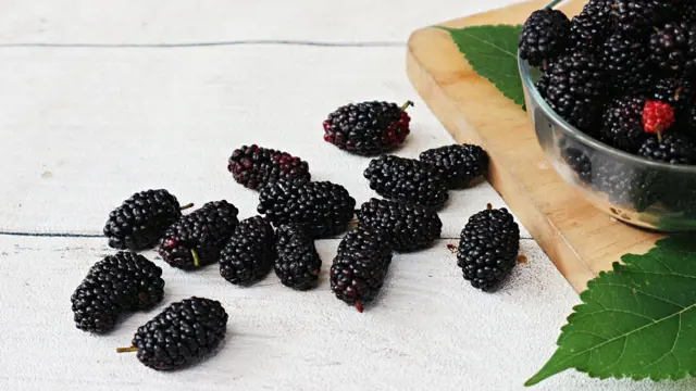 Černé maliny rozsypané na bílém dřevěném povrchu vedle misky.