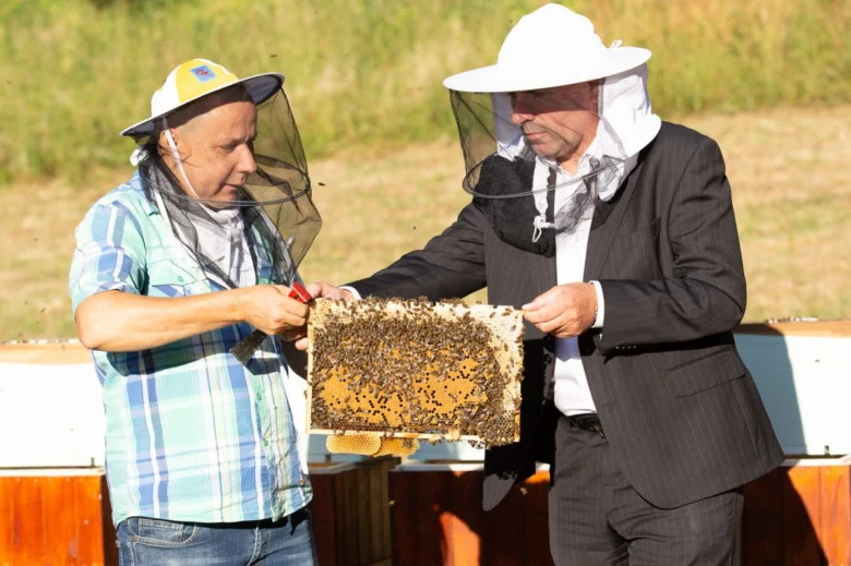 Včelaři zkoumají rám s včelami u úlů venku.