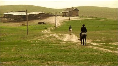 People riding horses on grassland