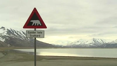 Polar bear warning sign
