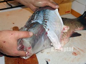 Ruční oddělování masa od kostí u velké sladkovodní ryby.