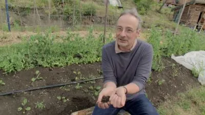 Muž drží v rukou půdu na zahradě s rostlinami.