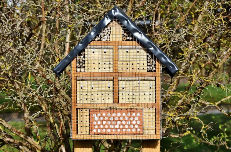 Dřevěný hnízdo pro vosy s různými materiály na stromu.