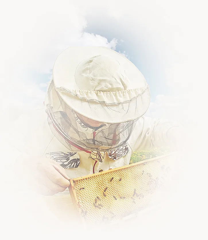 Beekeeper with honeycomb frame