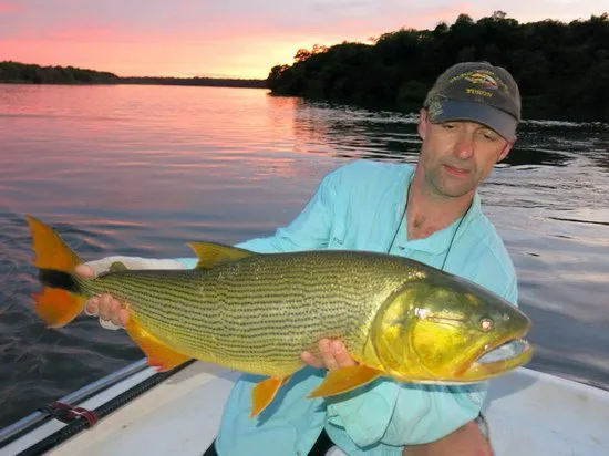 Původ a přirozený výskyt ryby dorado v tropických oceánech
