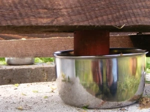 Kovová miska pod dřevěnou konstrukcí pro odstraňování mravenců.