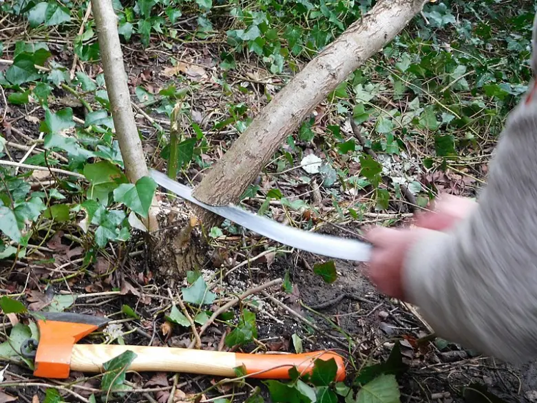 Člověk pílí větev na stromě, kladivo leží vedle.