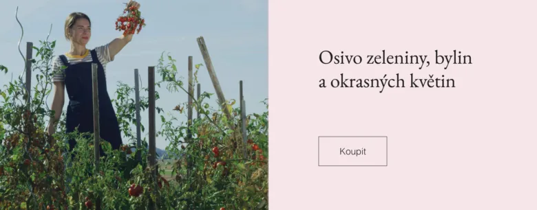 Žena v zahradě drží květiny mezi rajčatovými rostlinami.