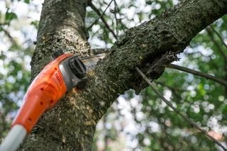 Oranžová řezačka na dřevo prořezává silnou větev stromu.