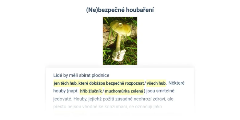 Mushroom fruiting body