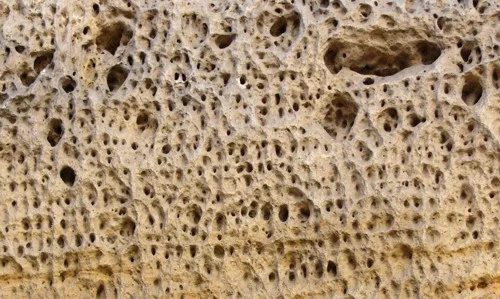 Pore structure of limestone rock